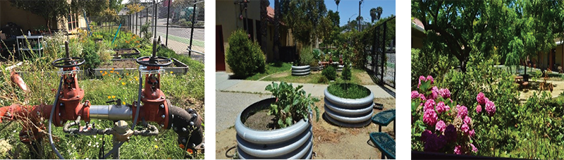 landscaping