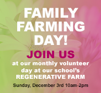  Volunteer at our Regenerative Farm