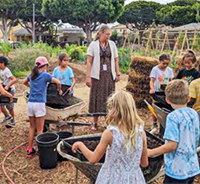   Sustainability at SMMUSD