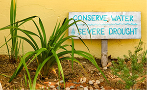 SMMUSD conserve water sign 