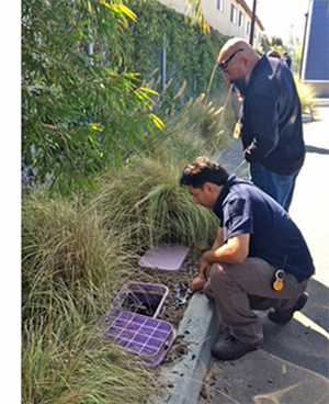 Workers installing irrigation systems at an SMMSUD school 
