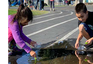 Students testing water 