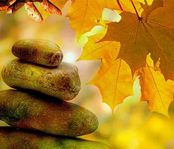 Health and Wellness - Mindfulness Resources