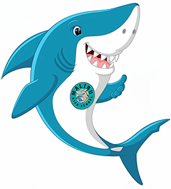 Alumni shark