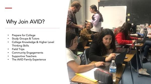 Why Join Avid?